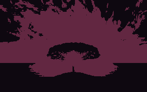 Image compressor